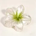 Elegant pearlescent plumeria flower hair claw clip featuring a green gradient center - 8cm Pearlescent Green