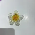 Transparent yellow plumeria flower hair claw clip for beach holiday hairstyles - 8cm Clear with Yellow Core