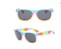 Lunettes de soleil tendance à monture arc-en-ciel pour cadeaux promotionnels et fêtes - Monture Arc-en-ciel Transparente (Verres Gris)