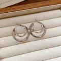 Elegant silver double hoop earrings displayed in a luxury velvet jewelry storage box - 134# Geometric Double Hoop Silver Earring Post Style / Silver