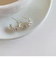 Elegant gold C-shape hoop earrings with irregular transparent ice cube crystal details. - Irregular Crystal Inlaid Style / Gold