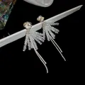 Elegant silver flower earrings with clear glass beaded tassels and delicate long chains - Silver