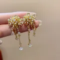 Exquisite 18k gold-plated firework earrings with teardrop zircon and pearl - Gold
