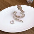 Detailed view of silver titanium steel snake jewelry set featuring intricate scale engraving. - Snake Bracelet And Ring Set / Silver