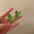 Elegant vintage French style green heart stud earrings with unique enamel textured finish - Irregular Heart Earrings (12#)