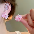 Detailansicht süßer pink-weißer Blumenohrstecker, am Ohr getragen und in der Hand gehalten - Mehrfarbige Perlen Gebraute Ohrstecker (12#)