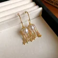 Gros plan détaillé de boucles d'oreilles en C dorées avec perles et glands d'étoiles. - Style Gland Étoile Perle en C / Or