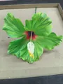 Forest style green hibiscus flower hair pin, handmade cloth floral accessory for women - Five-Petal Flower Hair Stick / Green