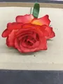 Beautiful red and orange gradient fabric rose flower for forest style hair accessories - Rose Hair Pins / Red