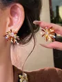 Close-up of festive red fireworks ear studs with sparkling zircon and gold-plated rays. - 2# (Silver Post-Fireworks Shape) / Gold-Red