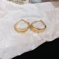 Minimalist elegant golden double-layer oval hoop earrings with 925 silver needles - Double Layer Oval Hoop (67#) / Gold