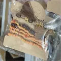Bohemian multilayer beaded bracelet with brown tassels and orange seed beads in package - 6-Piece Set / Brown