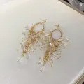 Detailed shot of elegant gold-toned crystal tassel earrings with sparkling oval rhinestone accents - Gold