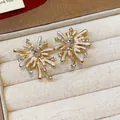 Dettaglio di orecchini a forma di fuoco d'artificio con zircone a cuore e smalto - Stile Zirconia Cuore in Smalto Bianco