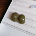 Olive green glossy bean-shaped stud earrings displayed in a white jewelry tray - 105 Silver Needle - Green