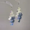 Elegante bunte Verlaufs-Hohlschmetterlings-Ohrhänger mit Quasten für moderne Damen - 72# Hakenstil
