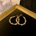 Elegant gold twisted hoop earrings with silver pins and high-end minimalist design style - Twisted Hoop