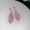Primo piano di eleganti orecchini pendenti decorati con pietre di zircone rosa brillanti. - Perno per orecchini in argento - Argento - Rosa