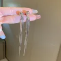 Orecchini lunghi con nappe d'argento e borchia a sfera per donne eleganti. - Nappina a Sfera Argento (13#)