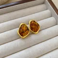 Detailed macro view of vintage amber resin geometric stud earrings in a beige display box - Curved (4#) / Silver Needle / Gold/Brown