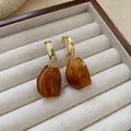 Detailed view of vintage amber resin drop earrings with gold metal hoops in a tray - Irregular Square (14#) / Silver Needle / Gold/Brown