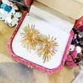 Elegant gold-toned starburst earrings with sparkling stones in a pink velvet box - Starburst Firework Shape (HE2034) / Gold