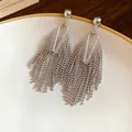 Detailed macro shot of silver tassel drop earrings with beaded fringe on a white plate - Silver