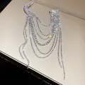 Sparkling multi-layer rhinestone tassel brooch detail in elegant silver finish - Multi-Layer Tassel Style / Silver