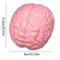 Detailed dimensions of the pink brain-shaped slow-rising squeeze stress toy - Brain / Pink