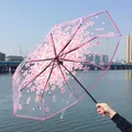 Transparenter faltbarer Regenschirm mit schönen rosa Kirschblüten und rosa Griff - Manueller Sakura-Rosa transparent