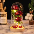 Trois roses rouges romantiques sous dôme en verre avec guirlande LED et socle en bois - Cloche en Verre / Base en Bois Fleur Rouge + Pétales