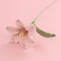 Handgefertigte rosa Häkellilie, gestrickte Kunstblume aus Garn für Dekoration - Rosa