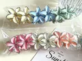 Pastel colored frangipani flower hair clips in various shades of pink, blue, and yellow - 4.5cm Silver Edge Solid Colors (6 Colors)