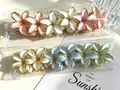 Set of various colorful plumeria flower hair claw clips with elegant gold trim in clear bags - 4.5cm Gold Edge Solid Colors (6 Colors)