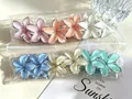 Set of colorful plumeria flower hair clips for women in transparent plastic packaging - 4.5cm Silver Edge Transparent (6 Colors)