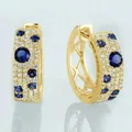 Exquisite goldene Ohrringe im koreanischen Stil mit blau-weißen Zirkonia-Steinen - Gold