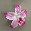 Elegant pink gradient plumeria flower hair claw clip shark clip for summer vacation style - Pink-White Gradient (Narcissus)