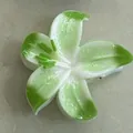 Elegant green and white gradient lily floral hair claw clip for summer resort hairstyles - Green-White Gradient (Narcissus)