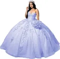 Superbe robe de bal Quinceañera lavande avec décolleté en cœur et broderies florales - XS / Mauve Clair