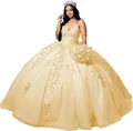 Élégante robe de bal or champagne avec broderies florales et jupe en tulle style princesse - XS / Champagne