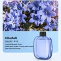 Wild Bluebell scent essential oil refill bottle for automatic aromatherapy diffuser. - Bluebell Essential Oil
