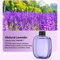 Natural lavender essential oil refill bottle for automatic home aroma diffuser machines - Lavender Essential Oil