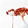 Handmade natural red jasper gemstone chips on copper wire for DIY crystal money tree kit - 15CM / Red Jasper