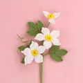 Handmade crochet white jasmine flowers with green leaves on a warm pink background - Mengsi 3-Flower Clematis Branch / White