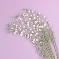 Elegant handmade crochet flower stems with white blossoms and green branches. - Snow Willow Branch / White