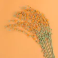 Beautiful handmade yellow crochet mimosa flowers with green stems on peach background - Snow Willow Branch / Orange