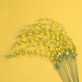 Delicate handmade yellow crochet mimosa flowers for home decor and special occasion gifts - Snow Willow Branch / Yellow