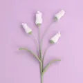 Delicate hand-crocheted white flower buds with green leaves on a soft purple background - Lantern Flower Branch / White