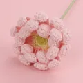 Delicate hand-crocheted pink yarn flower, ideal for romantic gifts and home decoration - Large Gerber Daisy Branch / Pink