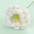 Elegant white and yellow hand-knitted crochet flower with green stem for gift decoration - African Daisy Stem / White-edged Green Core